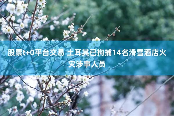 股票t+0平台交易 土耳其已拘捕14名滑雪酒店火災涉事人員