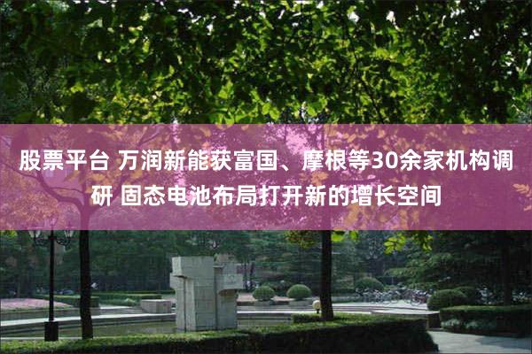 股票平台 萬潤新能獲富國、摩根等30餘家機構調研 固態電池布局打開新的增長空間