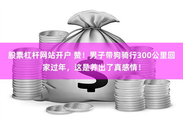 股票杠杆網站開戶 讚！男子帶狗騎行300公裏回家過年，這是養出了真感情！