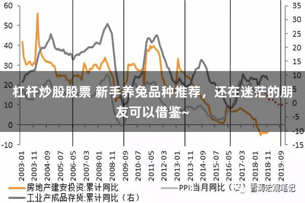 杠杆炒股股票 新手養兔品種推薦，還在迷茫的朋友可以借鑒~