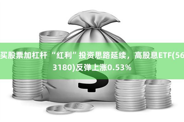 買股票加杠杆 “紅利”投資思路延續，高股息ETF(563180)反彈上漲0.53%