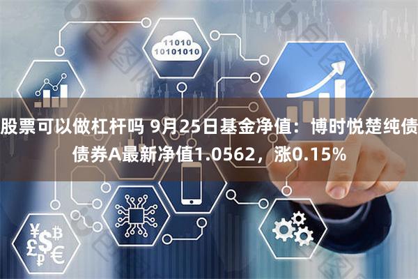 股票可以做杠杆嗎 9月25日基金淨值：博時悅楚純債債券A最新淨值1.0562，漲0.15%