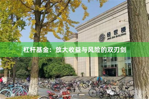 杠杆基金：放大收益與風險的雙刃劍