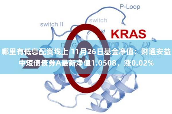 哪裏有低息配資線上 11月26日基金淨值：財通安益中短債債券A最新淨值1.0508，漲0.02%