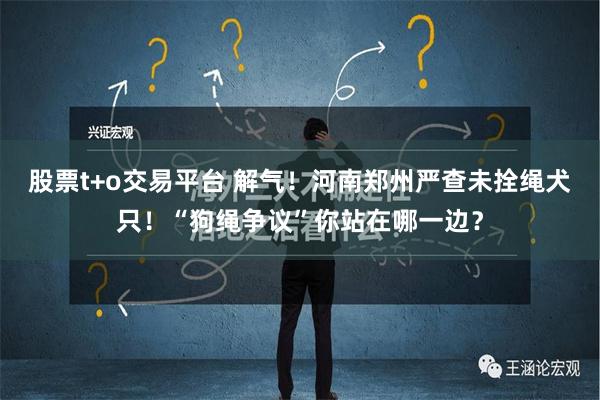 股票t+o交易平台 解氣！河南鄭州嚴查未拴繩犬隻！“狗繩爭議”你站在哪一邊？