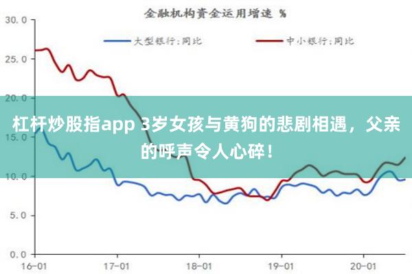 杠杆炒股指app 3歲女孩與黃狗的悲劇相遇，父親的呼聲令人心碎！